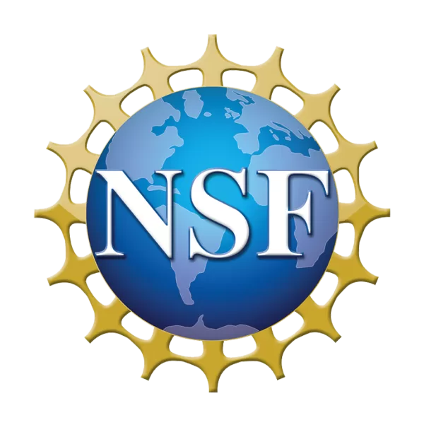 NSF Logo